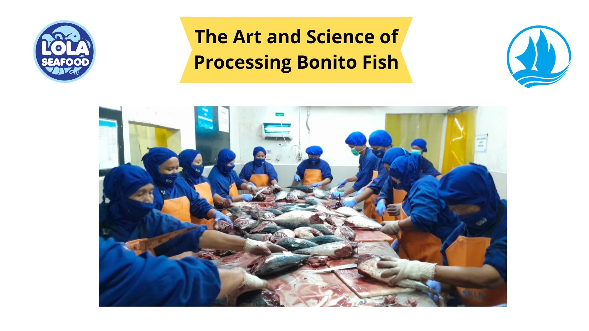 The Art and Science of Processing Bonito Fish